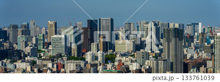 【都市風景】日中の東京都心の風景と東京タワー　大パノラマ 133761039