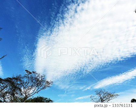 秋の空と白い雲 秋の空と白い雲 133761131