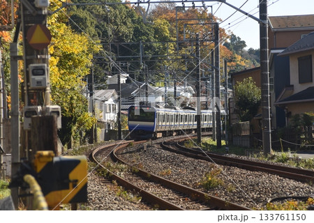 横須賀線の走る風景 横須賀線の走る風景 133761150