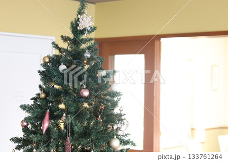 屋内に飾られたクリスマスツリー 屋内に飾られたクリスマスツリー 133761264