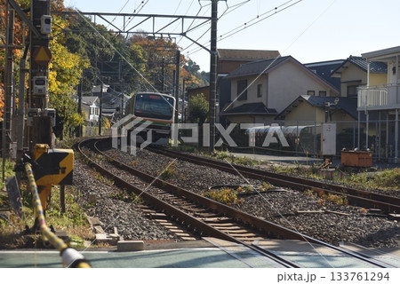 横須賀線の走る風景 横須賀線の走る風景 133761294