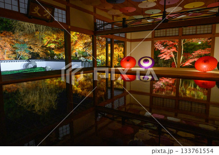 宝徳寺の床もみじライトアップ 133761554