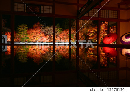 宝徳寺の床もみじライトアップ 133761564