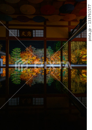 宝徳寺の床もみじライトアップ 宝徳寺の床もみじライトアップ 133761577