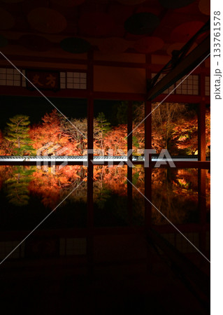 宝徳寺の床もみじライトアップ 133761578