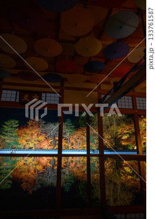 宝徳寺の床もみじライトアップ 宝徳寺の床もみじライトアップ 133761587