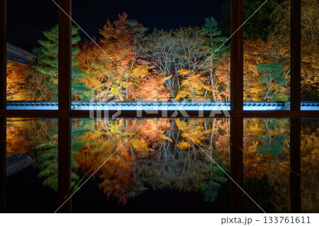 宝徳寺の床もみじライトアップ 133761611