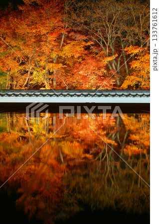 宝徳寺の床もみじライトアップ 133761612