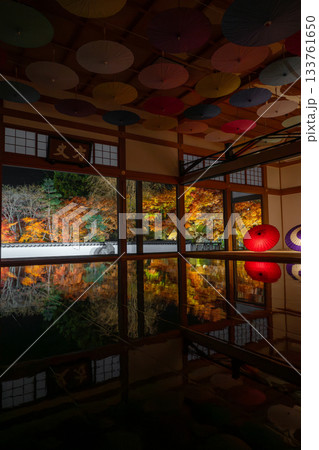 宝徳寺の床もみじライトアップ 宝徳寺の床もみじライトアップ 133761650