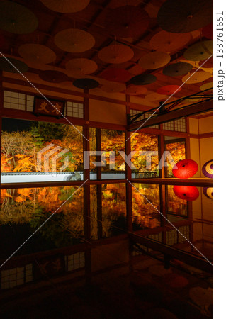 宝徳寺の床もみじライトアップ 133761651