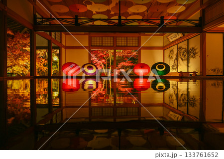 宝徳寺の床もみじライトアップ 133761652