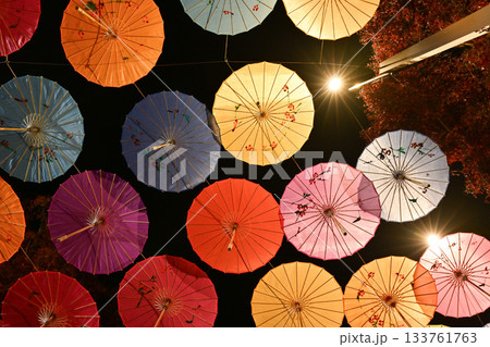 宝徳寺の秋のライトアップ 133761763