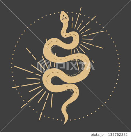 Kundalini snake with circle and rays. Golden spiritual occultism symbol on dark background. Tattoo or tarrot sacred esoteric element 133762882