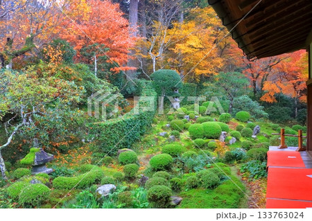 秋の大原三千院（庭園・京都市） 133763024