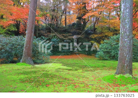 秋の大原三千院(庭園・京都市) 秋の大原三千院(庭園・京都市) 133763025