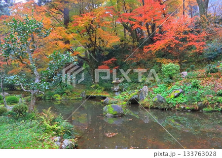 秋の大原三千院（庭園・京都市） 133763028