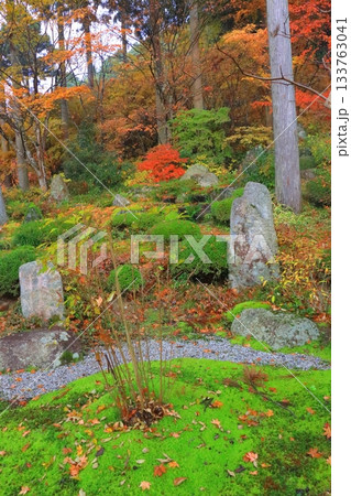 秋の大原三千院(庭園・京都市・縦構図) 秋の大原三千院(庭園・京都市・縦構図) 133763041