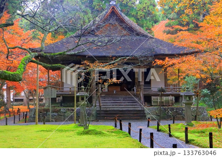 秋の大原三千院(往生極楽院・京都市) 秋の大原三千院(往生極楽院・京都市) 133763046