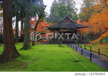 秋の大原三千院（庭園・往生極楽院・京都市） 133763047