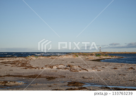 windy baltic sea coastline with sandy shore and distant wind turbines 133763239