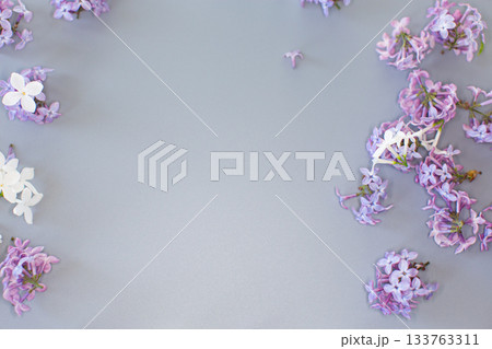Lilac petals on gray background with copy space Lilac petals on gray background with copy space 133763311