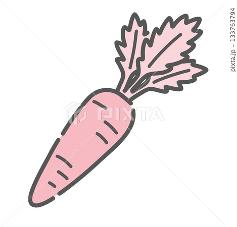 にんじん(人参)のイラスト、根菜、温活、野菜のアイコン素材。 にんじん(人参)のイラスト、根菜、温活、野菜のアイコン素材。 133763794