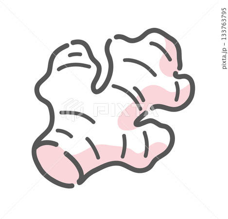 生姜（ショウガ）のイラスト、温活、ジンゲロール、薬味のアイコン素材。 133763795