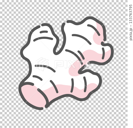 生姜（ショウガ）のイラスト、温活、ジンゲロール、薬味のアイコン素材。 133763795