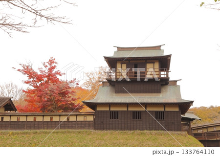 紅葉に包まれる逆井城の二層櫓 紅葉に包まれる逆井城の二層櫓 133764110
