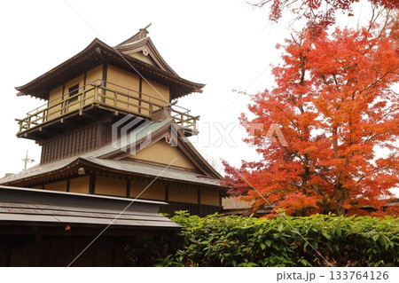 紅葉に包まれる逆井城の二層櫓 紅葉に包まれる逆井城の二層櫓 133764126