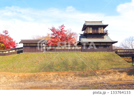紅葉に包まれる逆井城の二層櫓 紅葉に包まれる逆井城の二層櫓 133764133