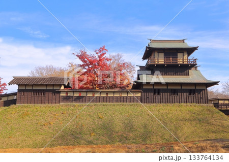 紅葉に包まれる逆井城の二層櫓 紅葉に包まれる逆井城の二層櫓 133764134