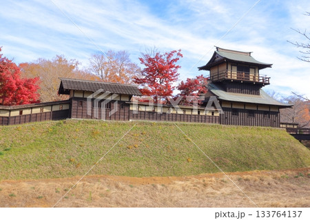 紅葉に包まれる逆井城 133764137