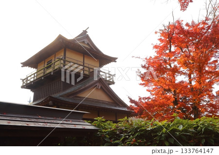 真っ赤な紅葉と逆井城の二層櫓 真っ赤な紅葉と逆井城の二層櫓 133764147