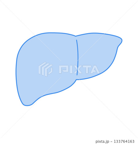 青いモノクロの肝臓イラスト 青いモノクロの肝臓イラスト 133764163