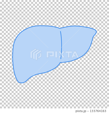 青いモノクロの肝臓イラスト 青いモノクロの肝臓イラスト 133764163