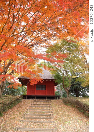 紅葉に包まれた観音堂 133764242