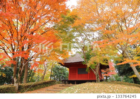 紅葉に包まれた観音堂 紅葉に包まれた観音堂 133764245