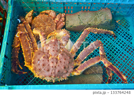 水槽の中の本タラバガニ 水槽の中の本タラバガニ 133764248