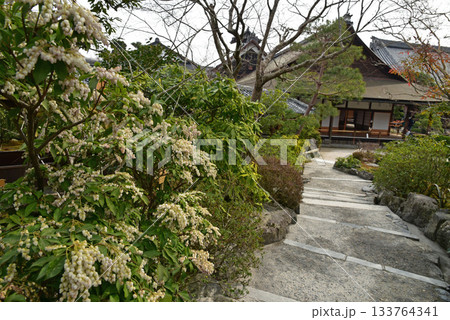 馬酔木の花 133764341