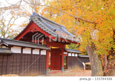 紅葉に包まれる関宿城門 133764388