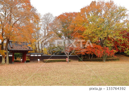 紅葉に包まれる関宿城門 133764392