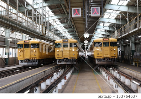 115系電車 133764637