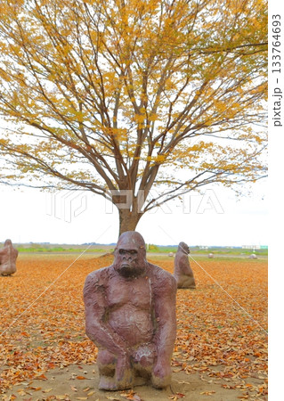 落ち葉の絨毯と紅葉とゴリラ 落ち葉の絨毯と紅葉とゴリラ 133764693