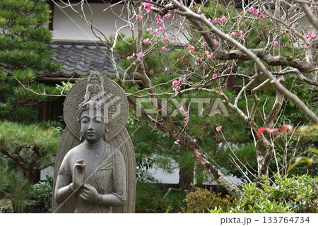 京都 等観院の聖観世音菩薩 京都 等観院の聖観世音菩薩 133764734