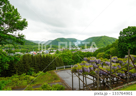 平和山公園からみる丸瀬布の町(遠軽町丸瀬布) 平和山公園からみる丸瀬布の町(遠軽町丸瀬布) 133764901