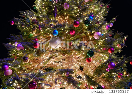 冬のイベント クリスマスツリーとライトアップ 夜景 背景画像 冬のイベント クリスマスツリーとライトアップ 夜景 背景画像 133765537