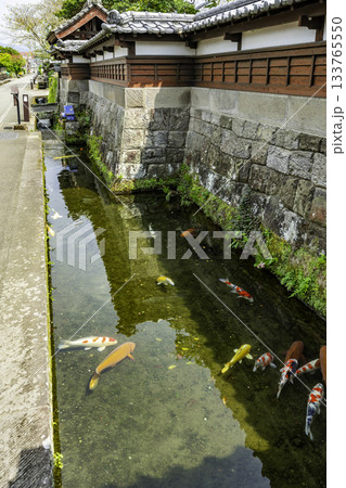 飫肥城下町 後町通り 鯉の遊泳地 宮崎県日南市 飫肥城下町 後町通り 鯉の遊泳地 宮崎県日南市 133765550