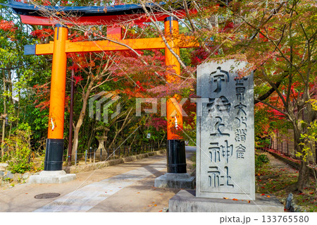 京都府宇治市　秋の宇治上神社の朱の鳥居 133765580