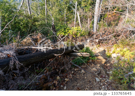 京都一周トレイルとその周辺の景色 133765645